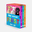 Baby Animals First Box Set: 123, ABC, Colors Online now