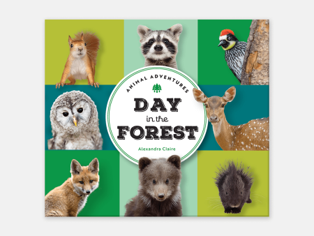 Animal Adventures: Day in the Forest Discount