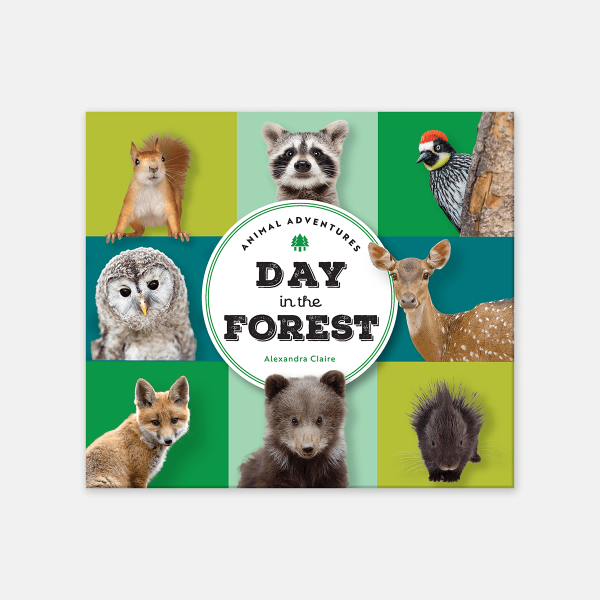 Animal Adventures: Day in the Forest Discount