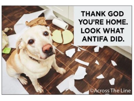 Thank God You re home, Look at what Antifa did Magnet For Cheap