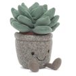 Jellycat Silly Succulent Azulita For Discount