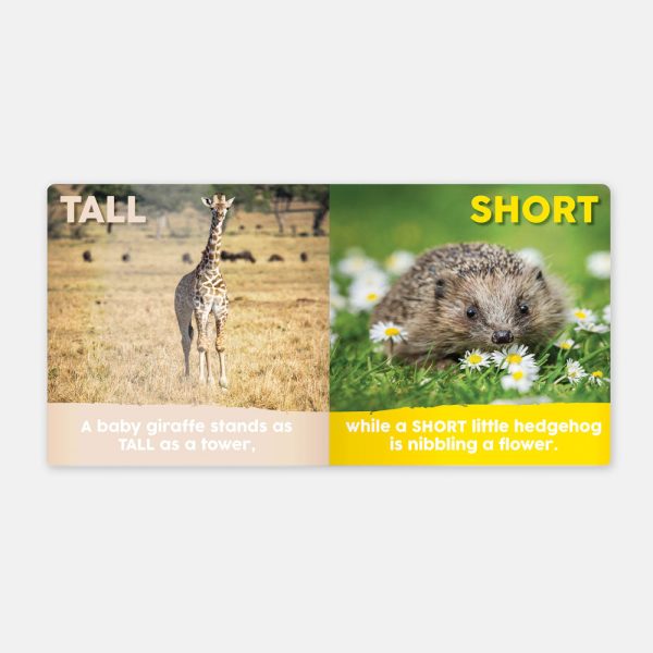 Baby Animals First Opposites Book Discount