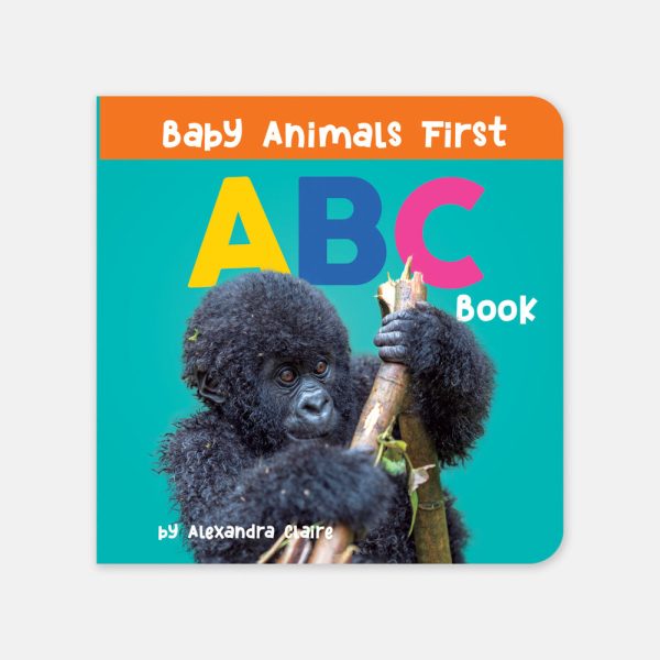 Baby Animals First Box Set: 123, ABC, Colors Online now