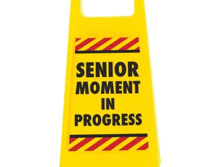 Senior Moment in Progress Online now