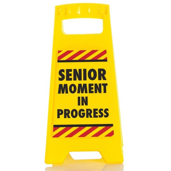 Senior Moment in Progress Online now