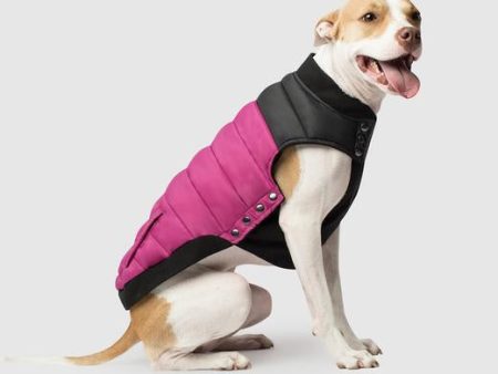 Canada Pooch Summit Stretch Coat Plum *DI* Cheap